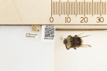 Media type: image;   Entomology 812136 Aspect: labels